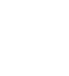 Adult Dance Fitness